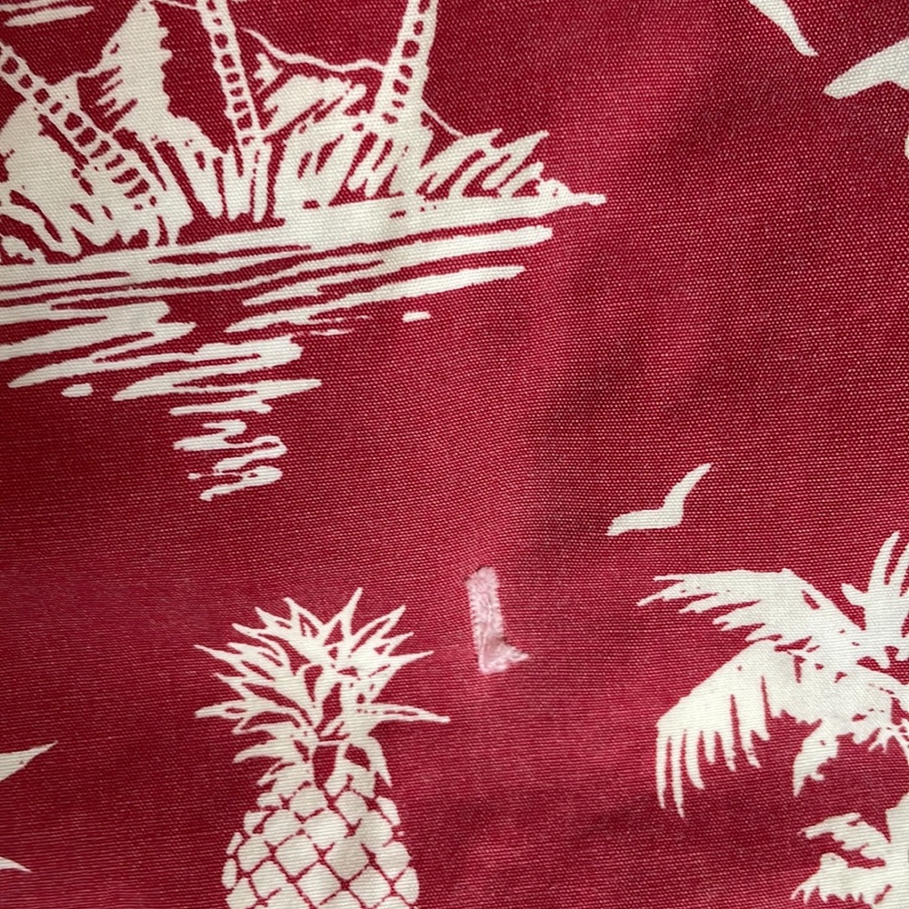 Aloha shorts - Picture 2 of 6